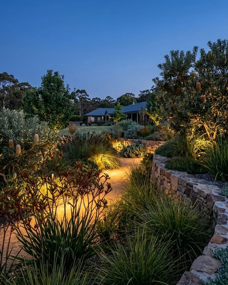 Night garden lighting through native palette in Warrandyte acreage property